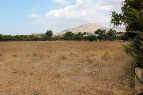 7900m² Land à Palaia Fokaia, Greece No. 59425 1