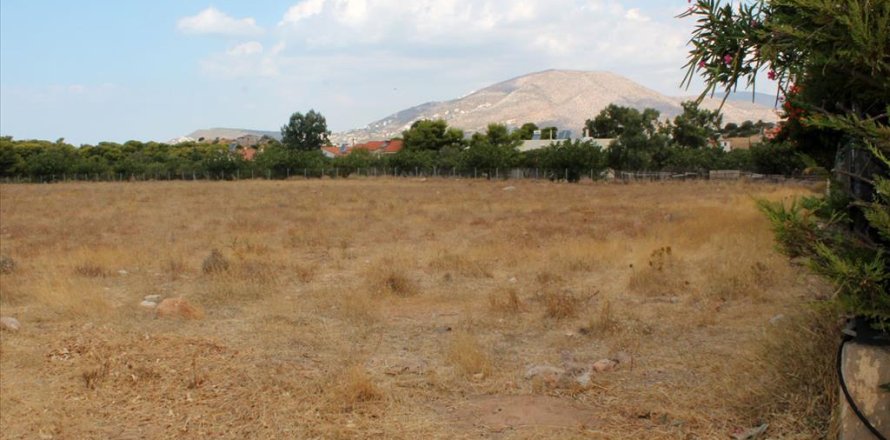 7900m² Land in Palaia Fokaia, Greece No. 59425