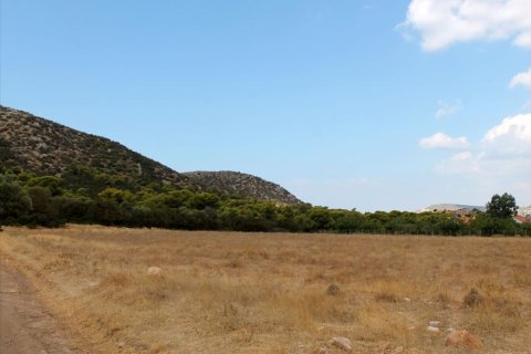 7900m² Land in Palaia Fokaia, Greece No. 59425 3