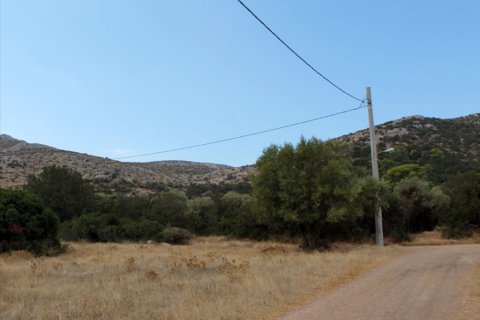 7900m² Land in Palaia Fokaia, Greece No. 59425 5