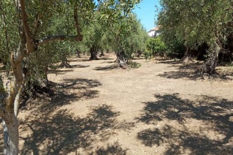 Land in Zakynthos, Greece No. 24641 6