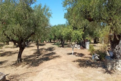 Land in Zakynthos, Greece No. 24641 10