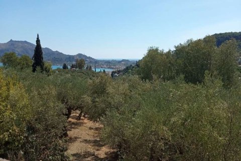 Land in Zakynthos, Greece No. 24641 12