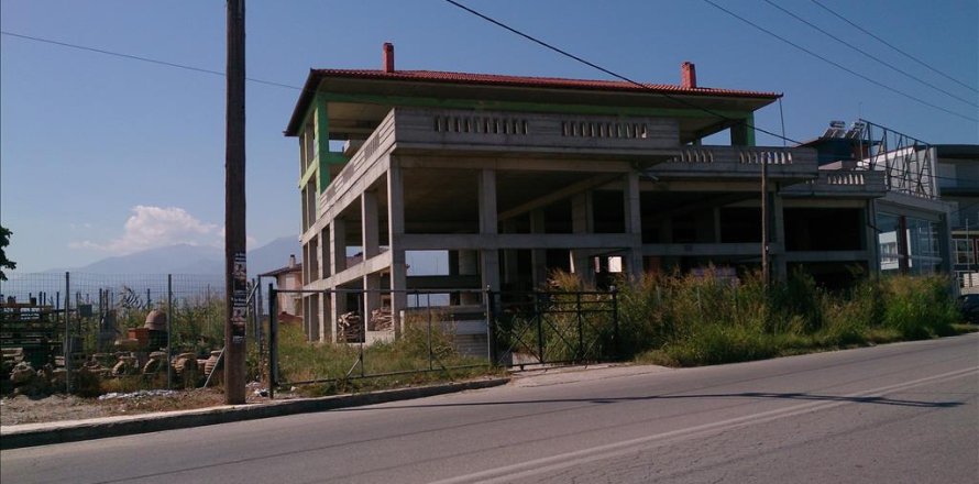 1260m² Business in Pieria, Greece No. 60104