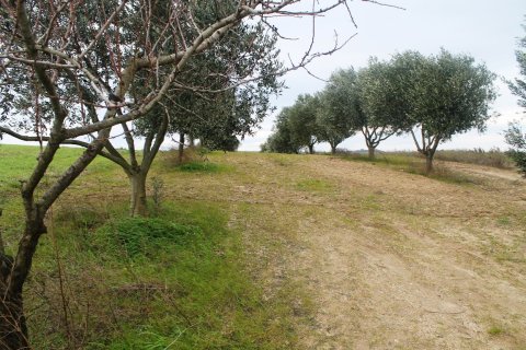 7350m² Land in Thermaic Gulf, Greece No. 59971 7