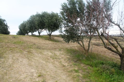 7350m² Land à Thermaic Gulf, Greece No. 59971 6