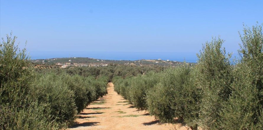 5500m² Land en Rethymno, Greece No. 60103