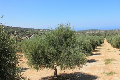 5500m² Land en Rethymno, Greece No. 60103 3