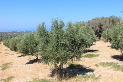 5500m² Land in Rethymno, Greece No. 60103 2