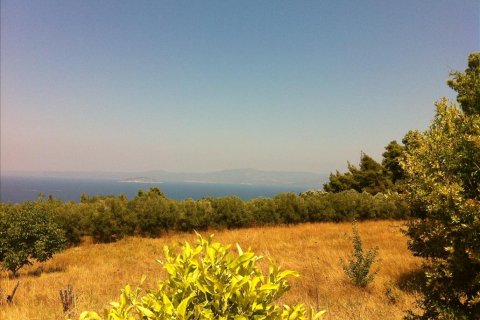 12200m² Land in Chalkidiki, Greece No. 59970 5