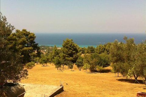 12200m² Land in Chalkidiki, Greece No. 59970 1