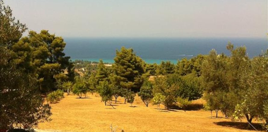 12200m² Land in Chalkidiki, Greece No. 59970