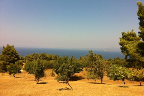 12200m² Land en Chalkidiki, Greece No. 59970 2