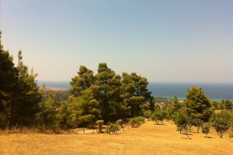 12200m² Land in Chalkidiki, Greece No. 59970 3