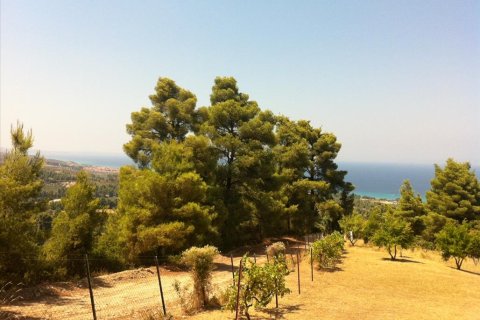 12200m² Land en Chalkidiki, Greece No. 59970 4