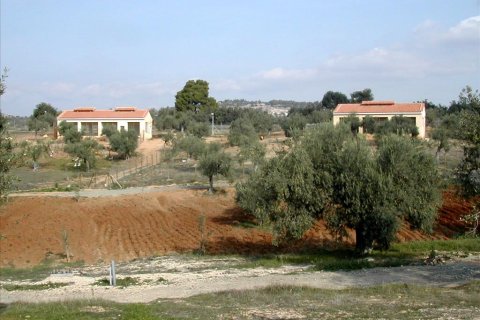 44600m² Land in Kranidi, Greece No. 59493 6