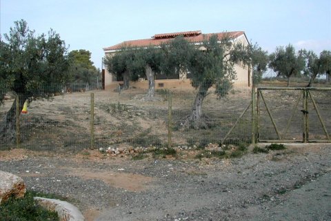 44600m² Land à Kranidi, Greece No. 59493 9