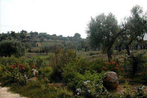 44600m² Land en Kranidi, Greece No. 59493 12