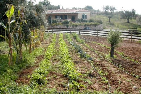 44600m² Land in Kranidi, Greece No. 59493 11