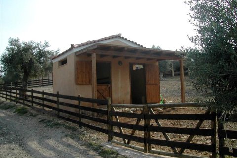 44600m² Land in Kranidi, Greece No. 59493 5