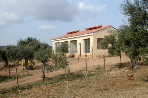 44600m² Land in Kranidi, Greece No. 59493 10