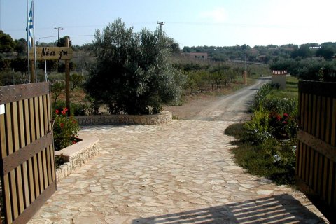 44600m² Land à Kranidi, Greece No. 59493 17