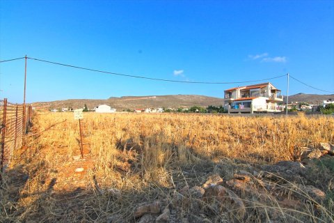 2000m² Land en Heraklion, Greece No. 59494 6