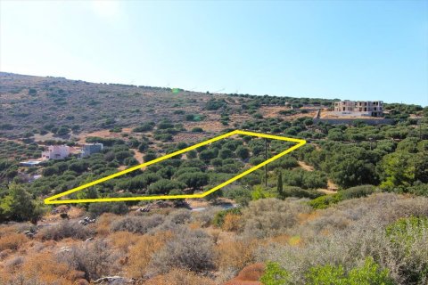 4150m² Land in Agios Nikolaos, Greece No. 59489 4