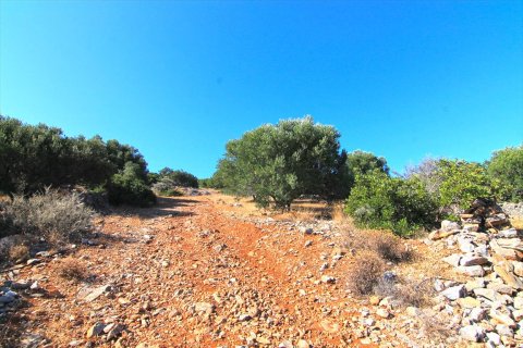 4150m² Land à Agios Nikolaos, Greece No. 59489 5