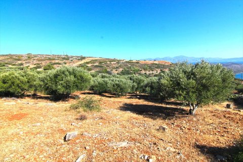 4150m² Land en Agios Nikolaos, Greece No. 59489 3