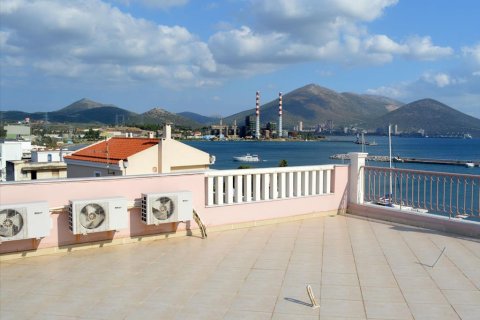 720m² Hotel in Euboea, Greece No. 59492 14