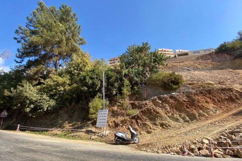 1 room Land in Bektas, Turkey No. 10847 7