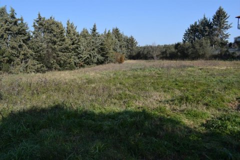 3000m² Land in Thessaloniki, Greece No. 56714 2