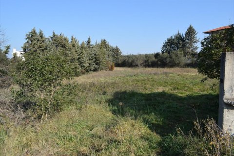 3000m² Land in Thessaloniki, Greece No. 56714 4