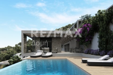 20 bedrooms Villa in Skiathos, Greece No. 27997 11