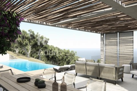 20 bedrooms Villa in Skiathos, Greece No. 27997 6