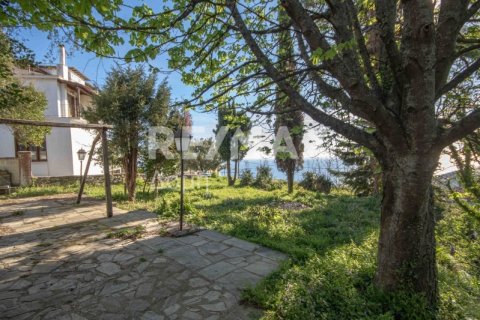 345m² House in Magnesia, Greece No. 27996 3