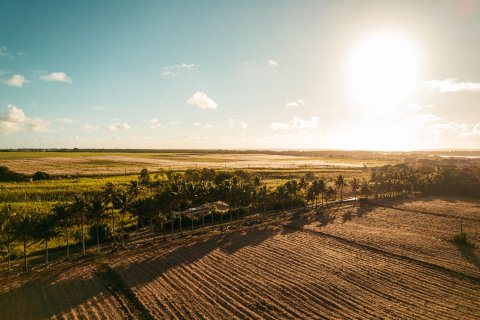 3 dormitorios Villa en Flacq, Mauritius No. 60836 7