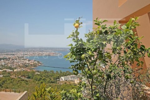 5 dormitorios Villa en Crete, Greece No. 24383 11