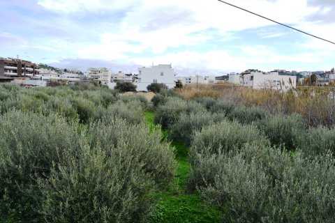 4000m² Land à Heraklion, Greece No. 57628 4