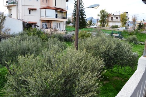 4000m² Land in Heraklion, Greece No. 57628 5