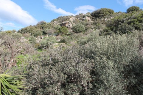 6587m² Land à Lasithi, Greece No. 57627 2