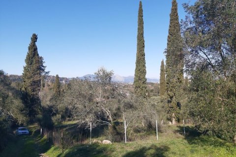 7000m² Land in Corfu, Greece No. 56119 1