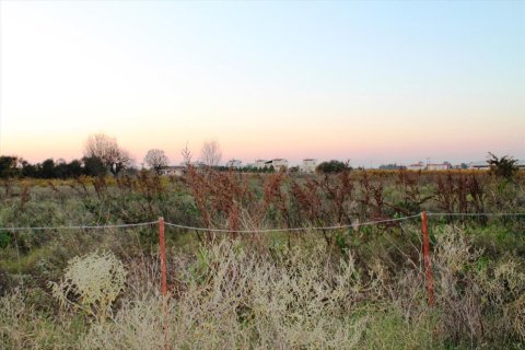 6600m² Land in Thermi, Greece No. 59331 4