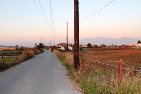 6600m² Land in Thermi, Greece No. 59331 2