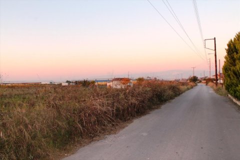 6600m² Land in Thermi, Greece No. 59331 3