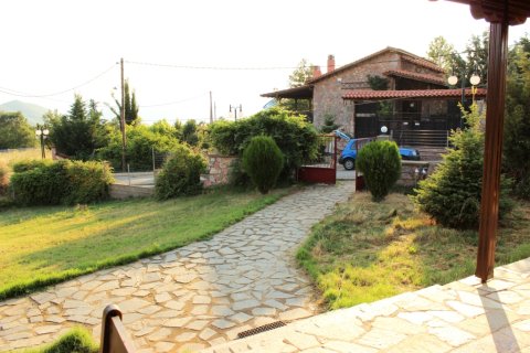 5 bedrooms House in Florina, Greece No. 59332 26