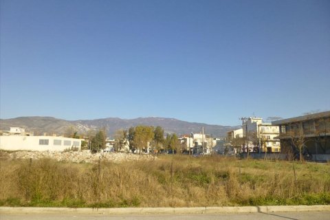 4000m² Land in Volos, Greece No. 59941 1