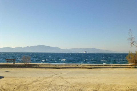 450m² Land in Magnesia, Greece No. 59938 1