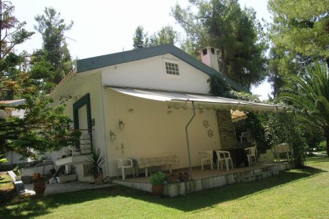 5 chambres House à Chalkidiki, Greece No. 59936 27